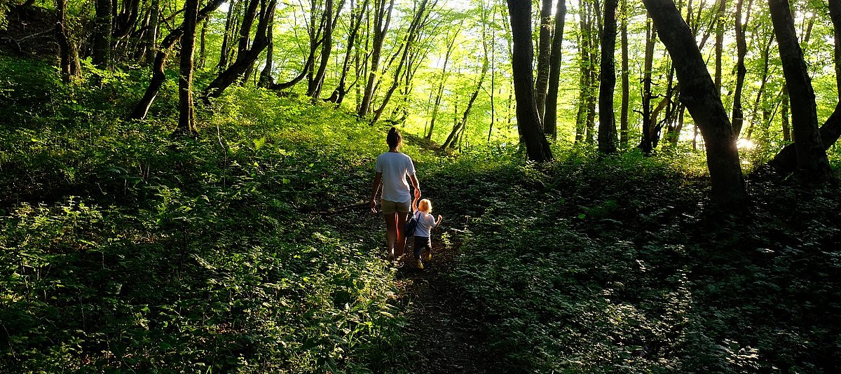Eine Erwachsene und ein Kind spazieren über einen Waldweg