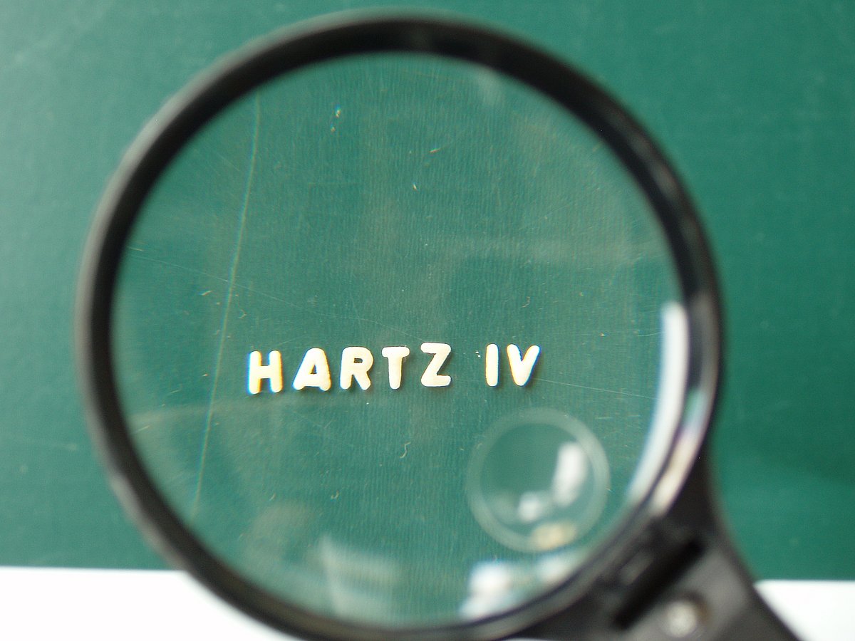 Hartz IV unter der Lupe
