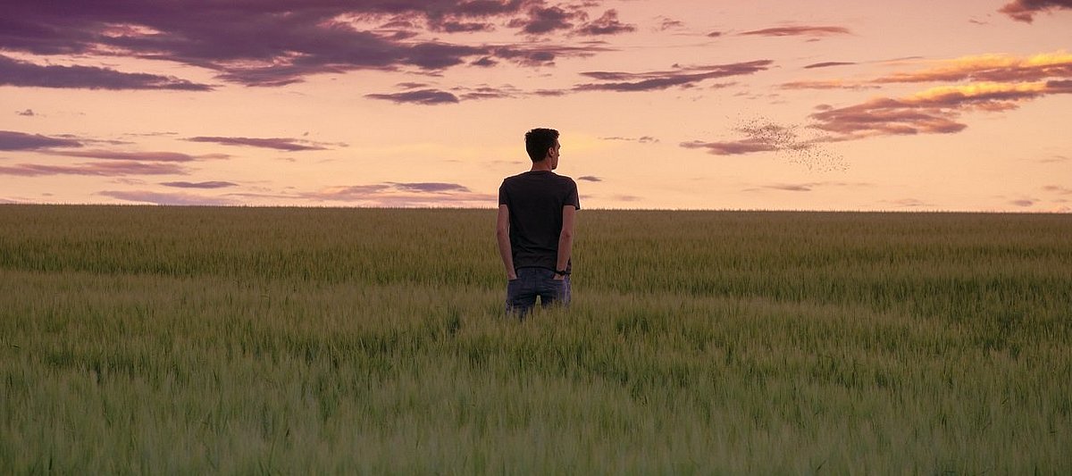 Junger Mann in T-Shirt steht mitten in einem Kornfeld und schaut in den vom Sonnenuntergang rosa gefärbten Himmel