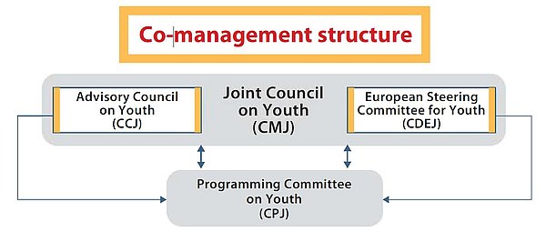 Co-Management Struktur des Gemeinsamen Rats für Jugend (CMJ) im Europarat