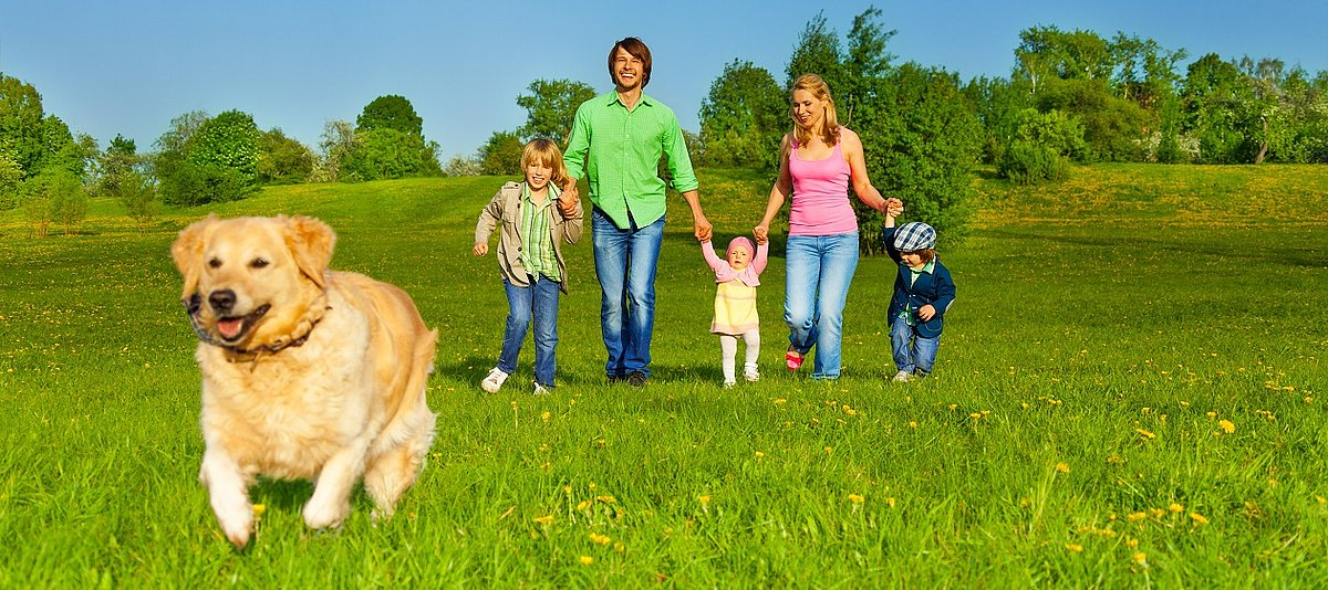 Vierköpfige Familie geht mit ihrem Hund auf einer grünen Wiese spazieren