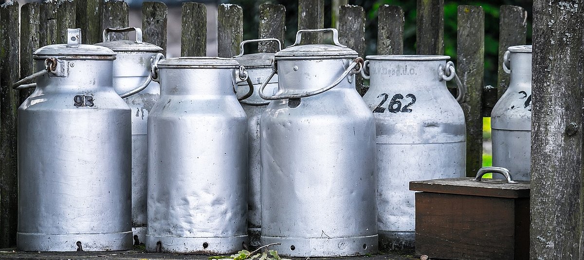Sieben Milchkannen aus Blech stehen auf einer alten Holzbank.