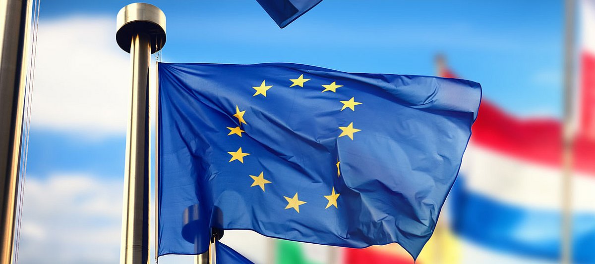 Die Flagge der EU vor den Flaggen der EU-Länder.