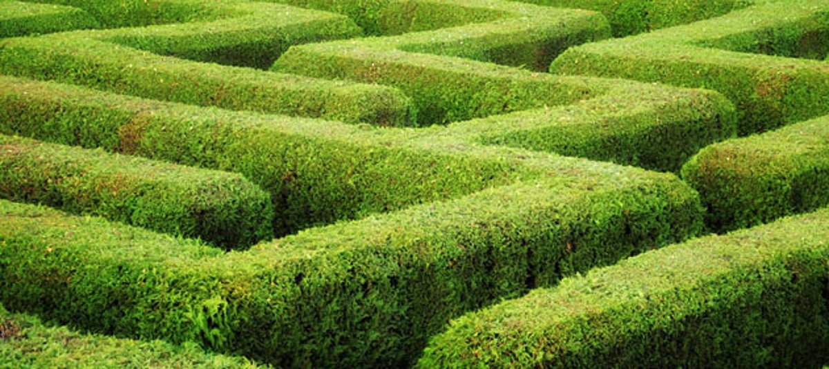 Ein Hecken-Labyrinth