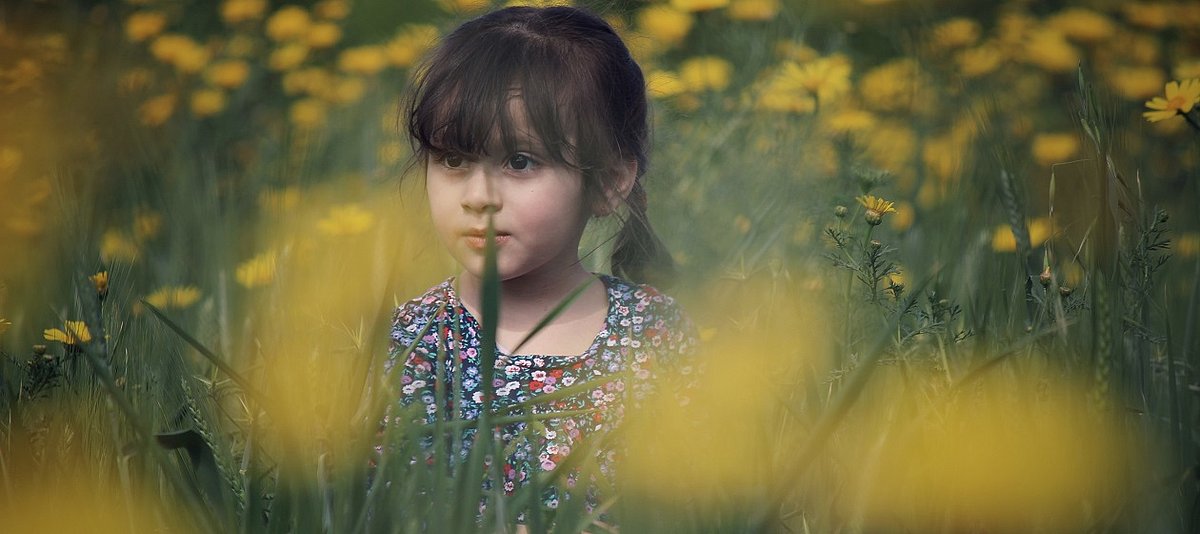 Ein Kind sitzt in einem Feld mit gelben Blumen
