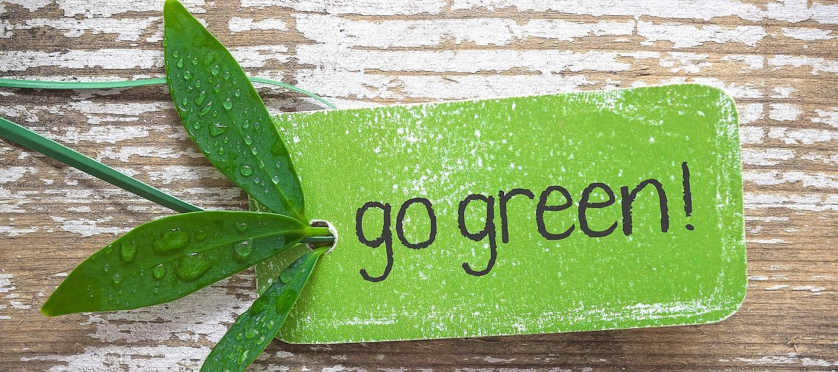 "Go Green" steht auf einem Zettel geschrieben, der an einem Blatt befestigt ist.