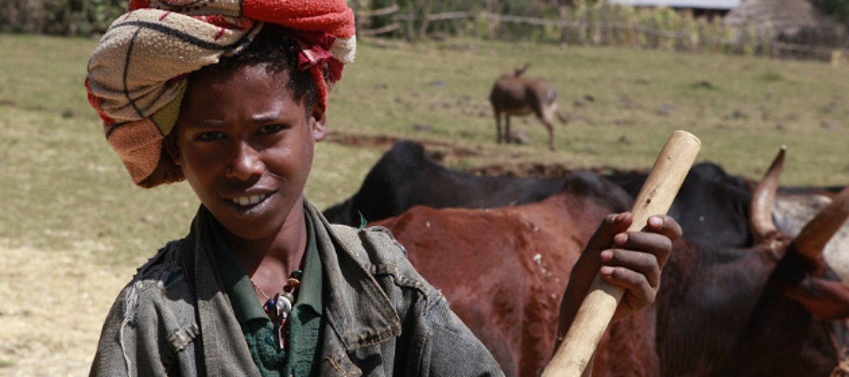 Kinderarbeit in Äthiopien