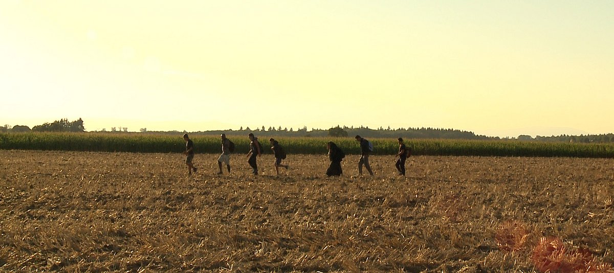 Standbild aus dem Film "Karawane der Hoffnung": sieben Menschen laufen in der Ferne über ein Feld