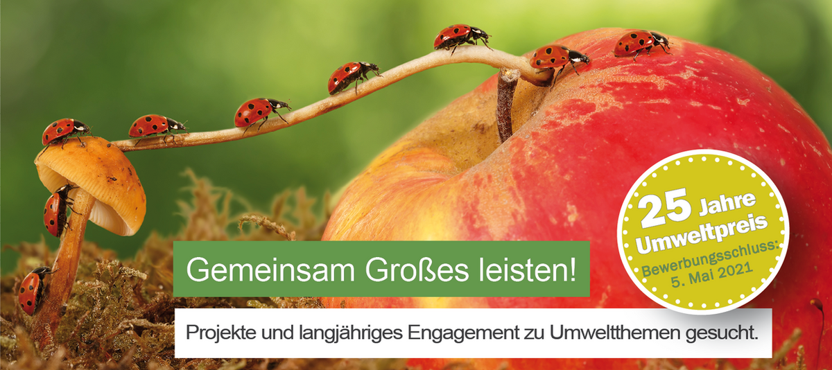 Gestaltetes Coverbild des Wettbewerbs: Marienkäfer krabbeln über einen Pilz auf einen Apfel.