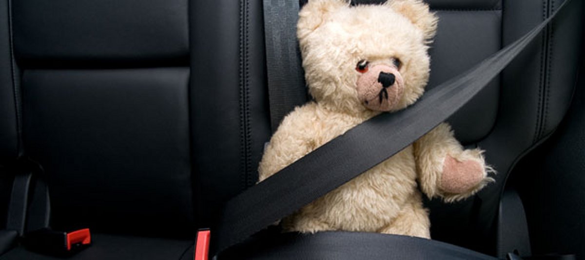 Ein Teddy sitzt angeschnallt im Auto